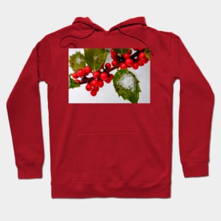 Holly Jolly Hoodie